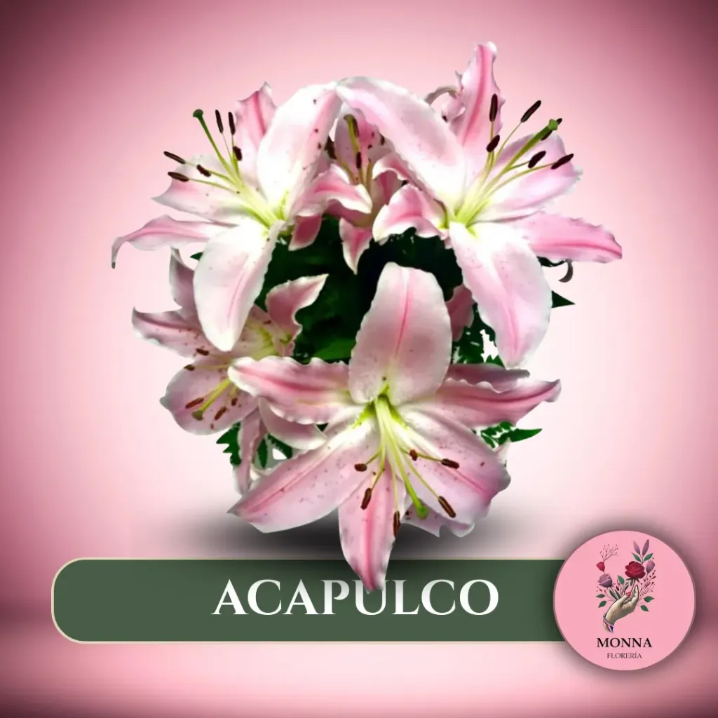ACAPULCO