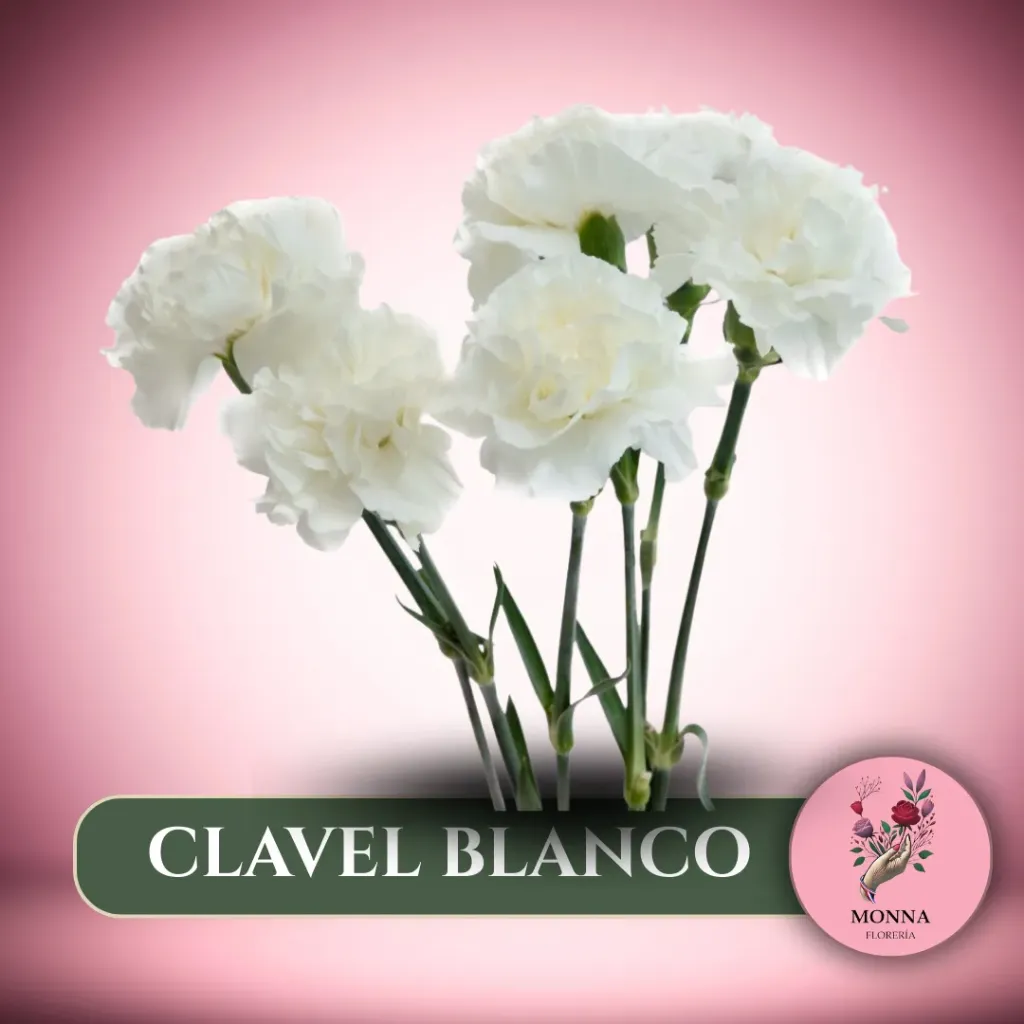 CLAVEL