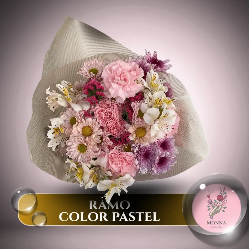 RAMO COLOR PASTEL